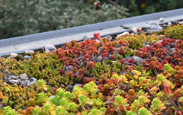 the cost of Knaves Green green roof installation